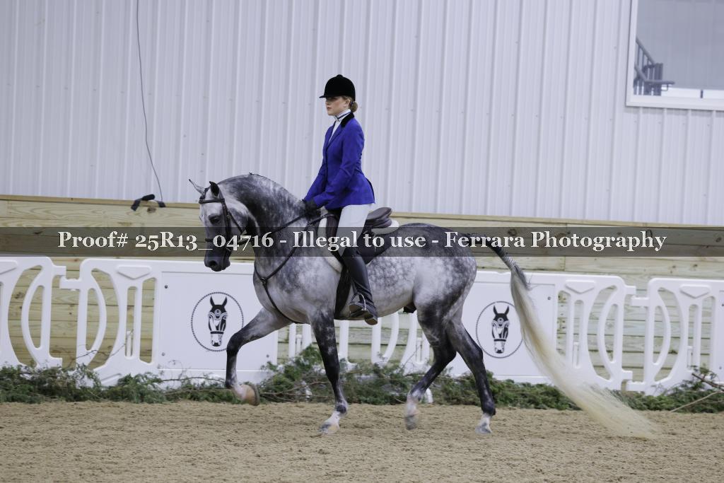 Proof Number 25R13_04716