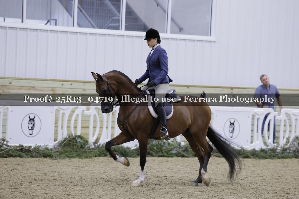 Proof Number 25R13_04719