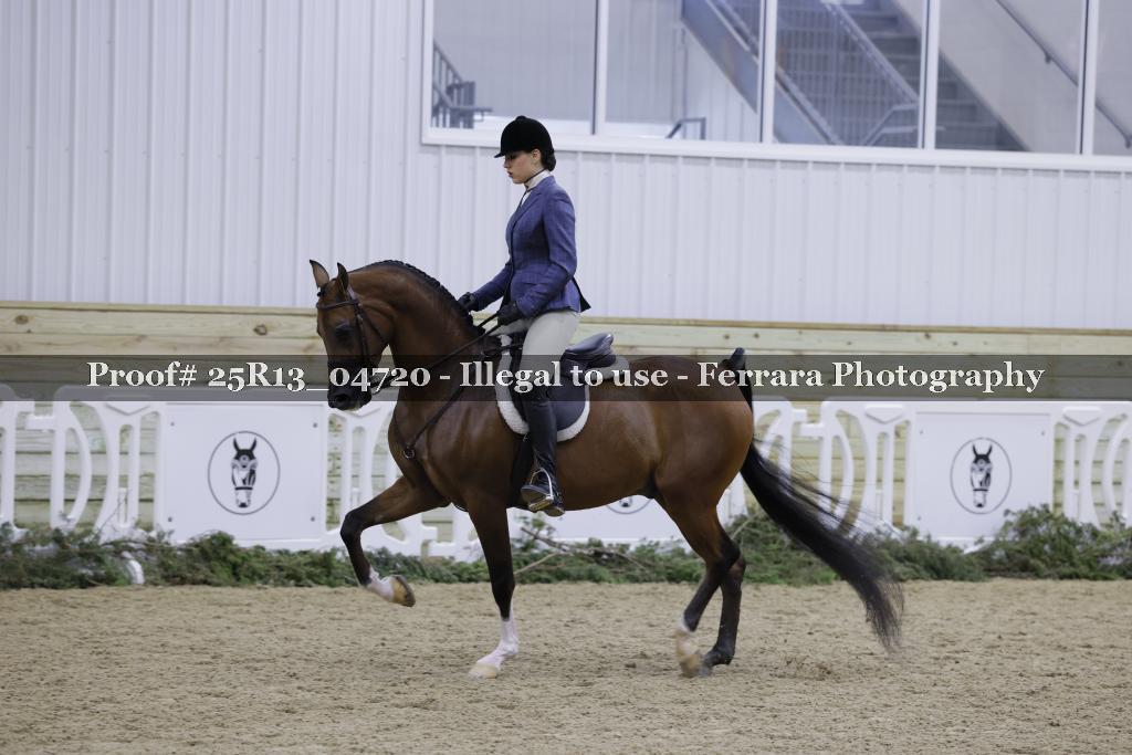 Proof Number 25R13_04720