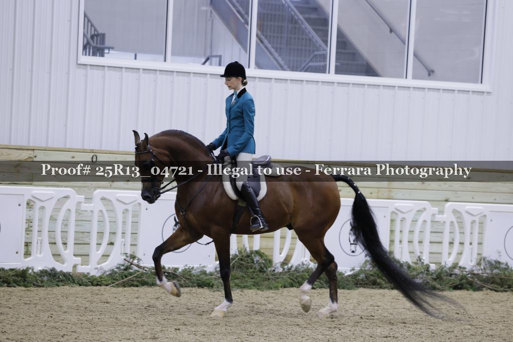 Proof Number 25R13_04721