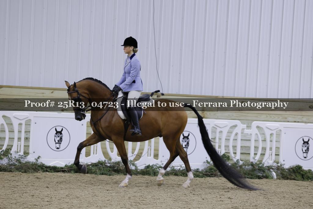 Proof Number 25R13_04723