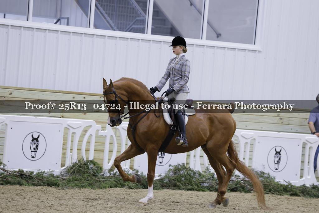 Proof Number 25R13_04724
