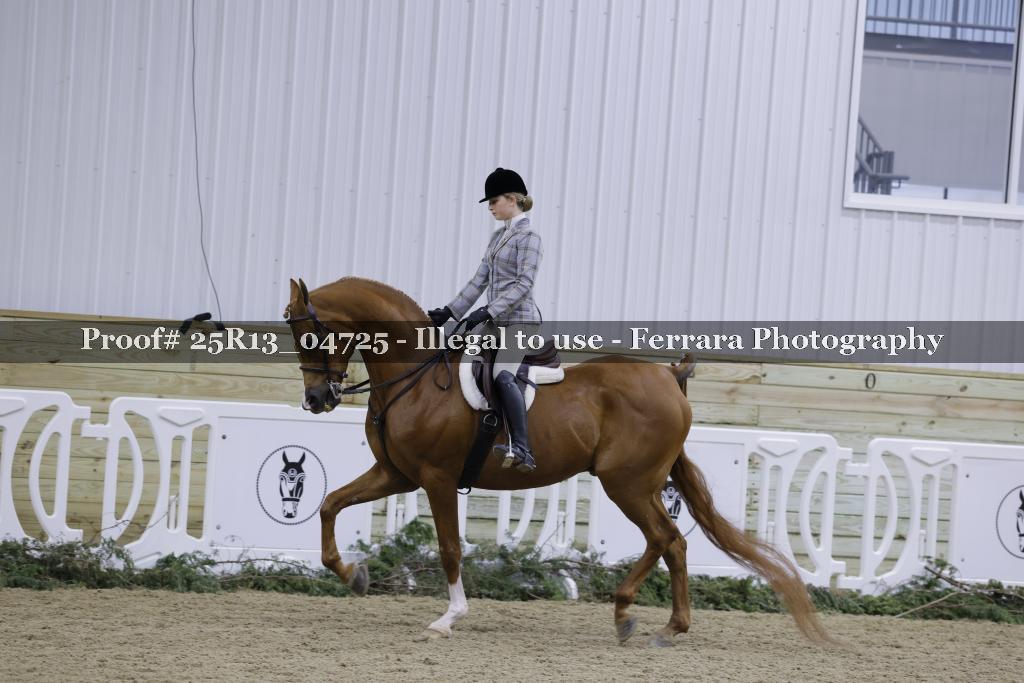 Proof Number 25R13_04725