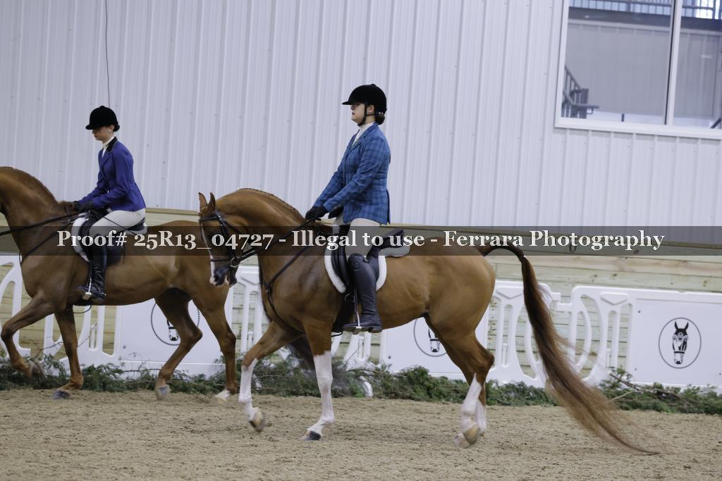 Proof Number 25R13_04727