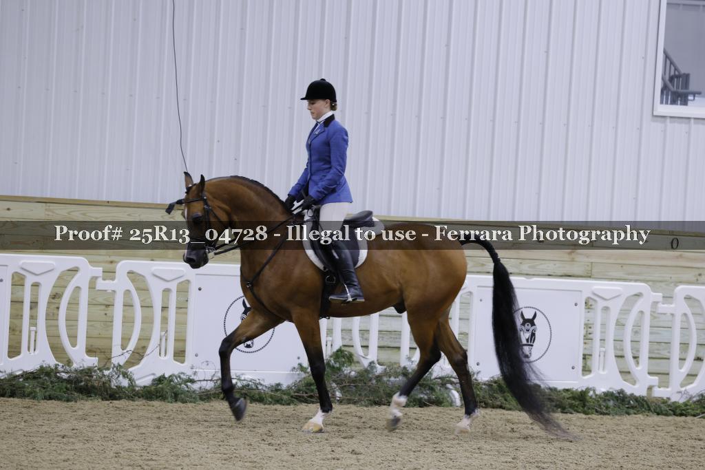 Proof Number 25R13_04728