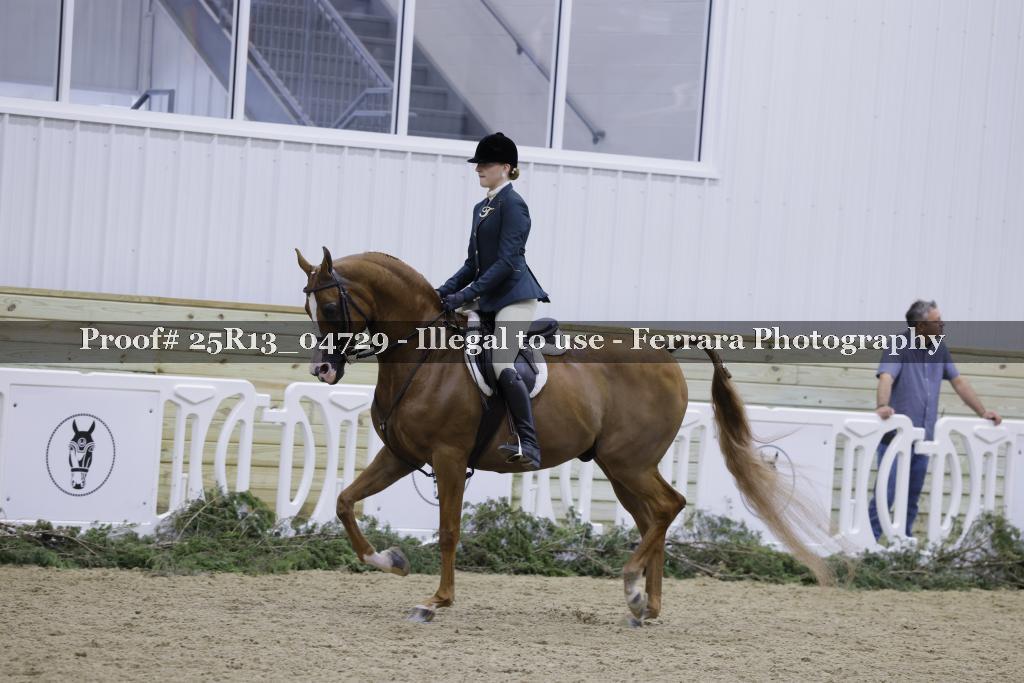 Proof Number 25R13_04729