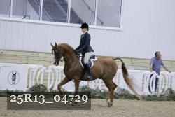 25R13_04729 thumbnail