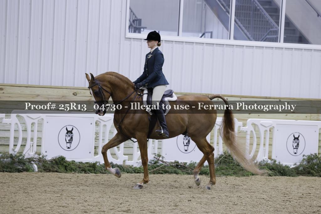 Proof Number 25R13_04730