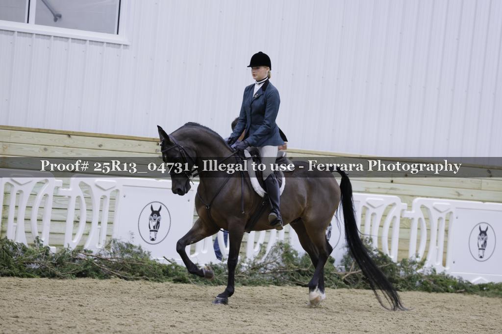 Proof Number 25R13_04731