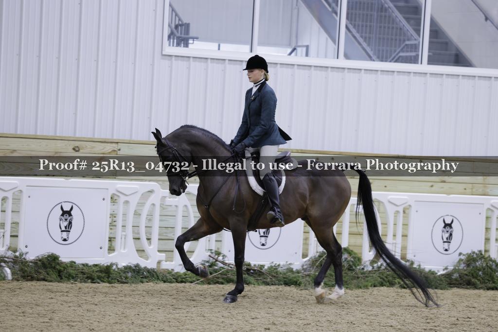 Proof Number 25R13_04732