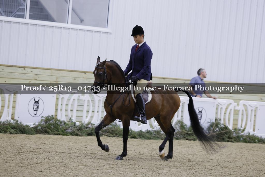 Proof Number 25R13_04733