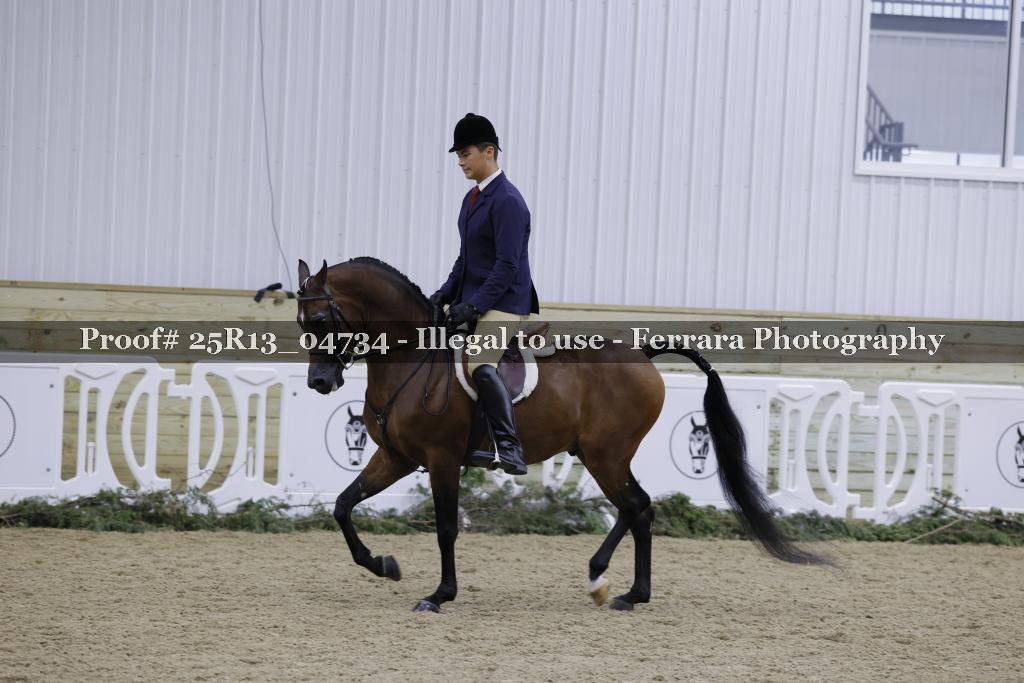 Proof Number 25R13_04734