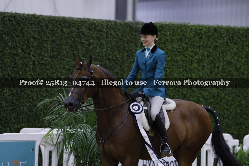 Proof Number 25R13_04744