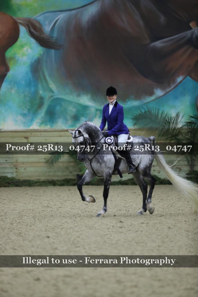 Proof Number 25R13_04747