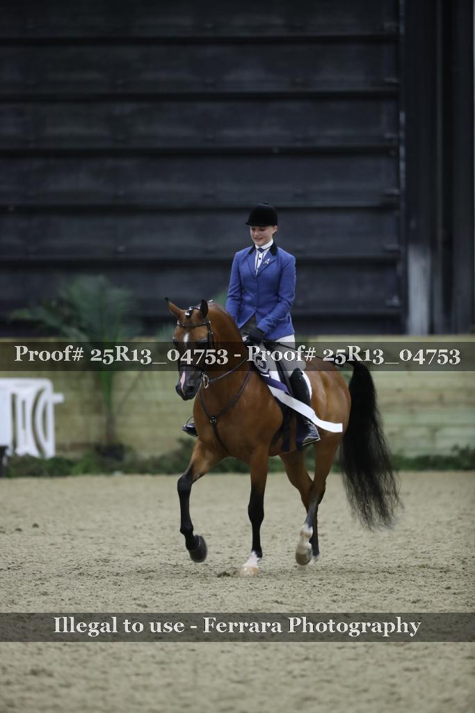 Proof Number 25R13_04753
