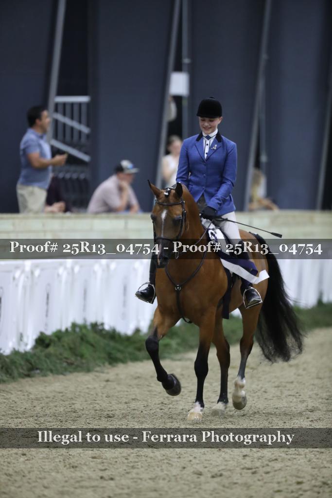 Proof Number 25R13_04754