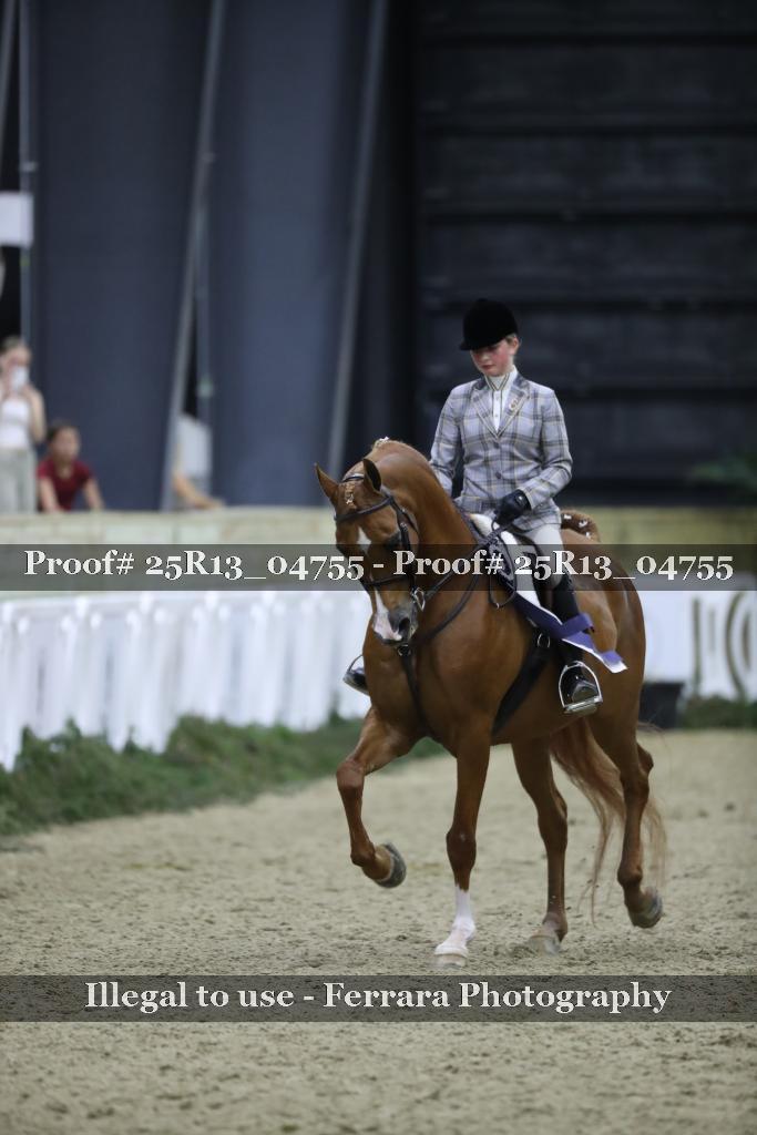 Proof Number 25R13_04755