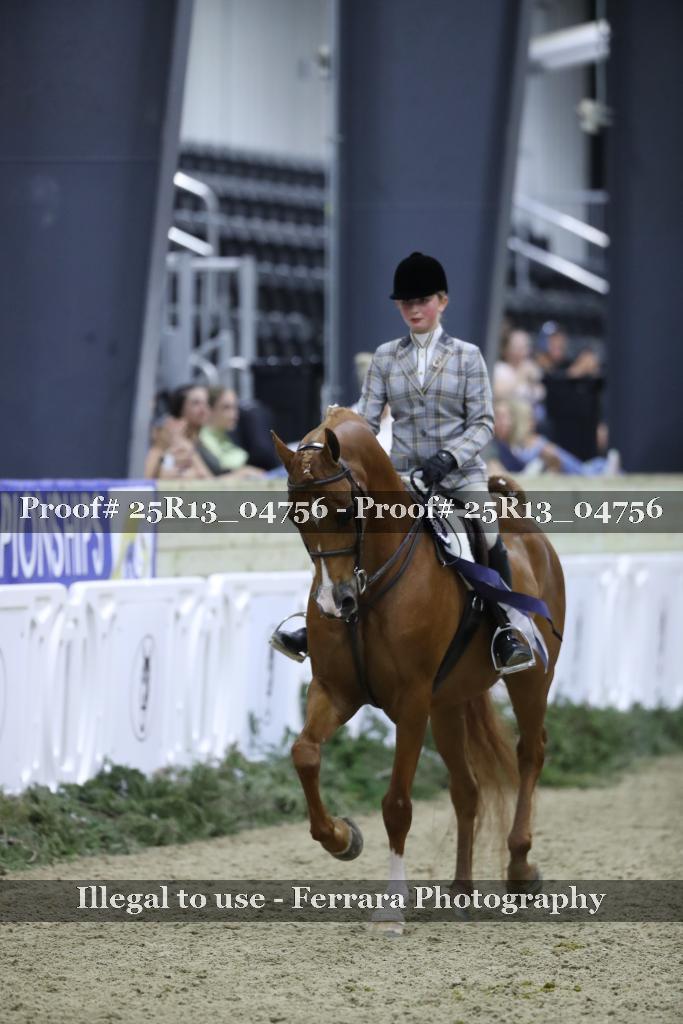 Proof Number 25R13_04756