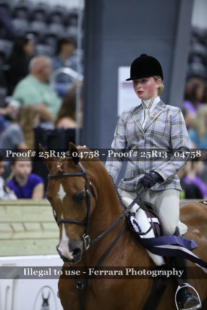 Proof Number 25R13_04758