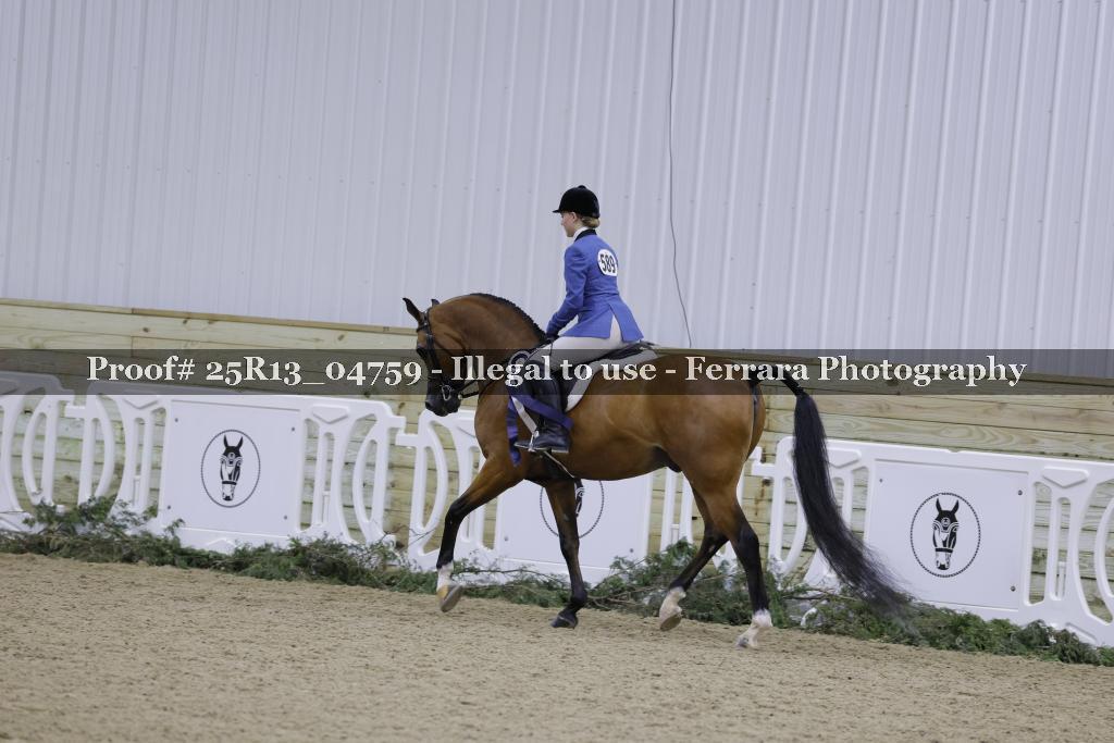 Proof Number 25R13_04759
