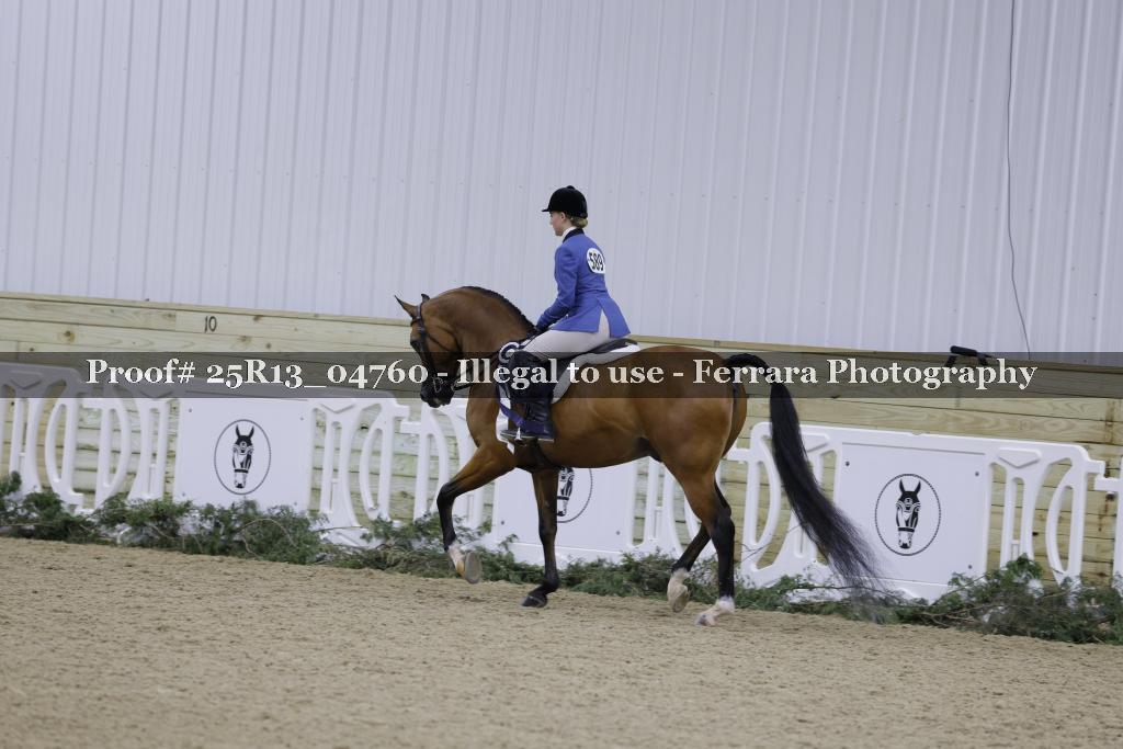 Proof Number 25R13_04760