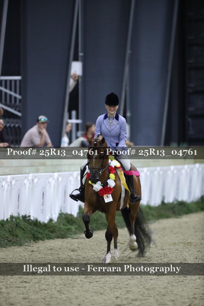 Proof Number 25R13_04761