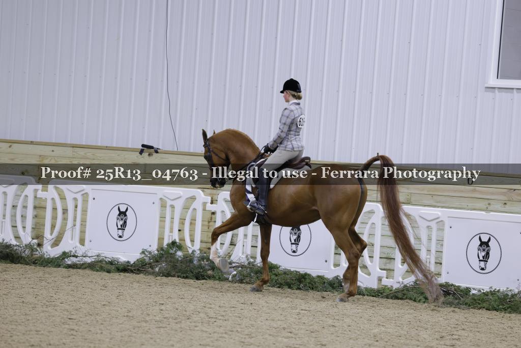 Proof Number 25R13_04763