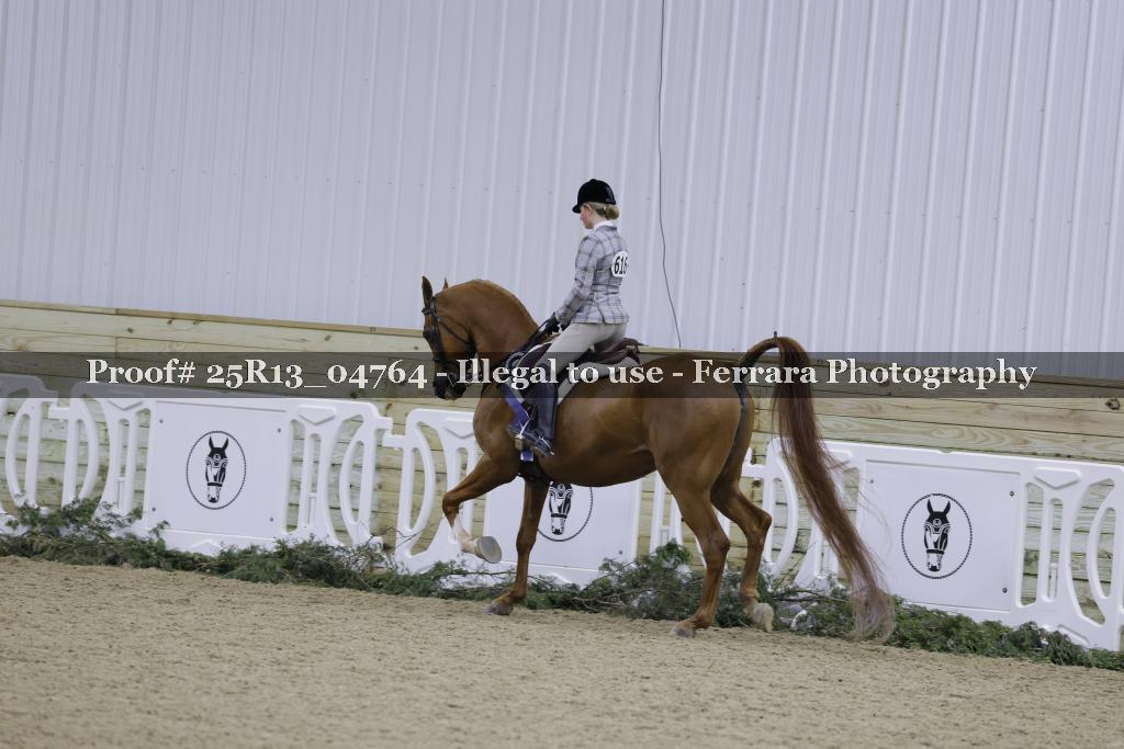 Proof Number 25R13_04764