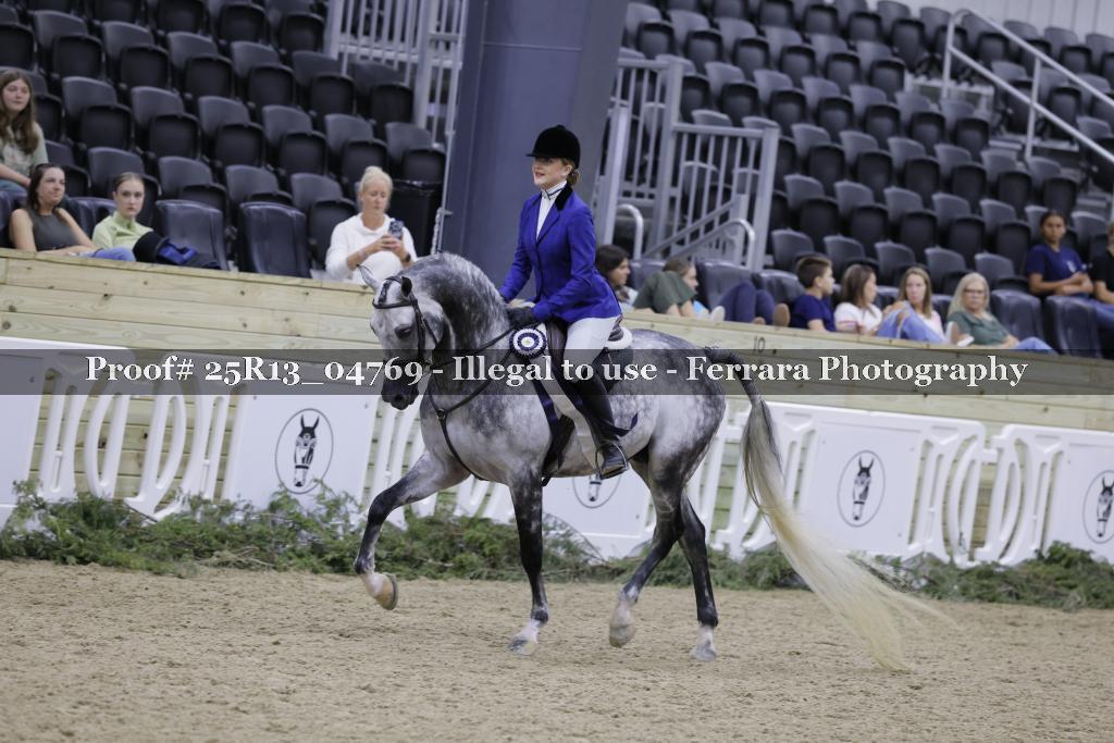 Proof Number 25R13_04769