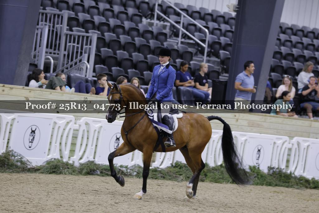 Proof Number 25R13_04773