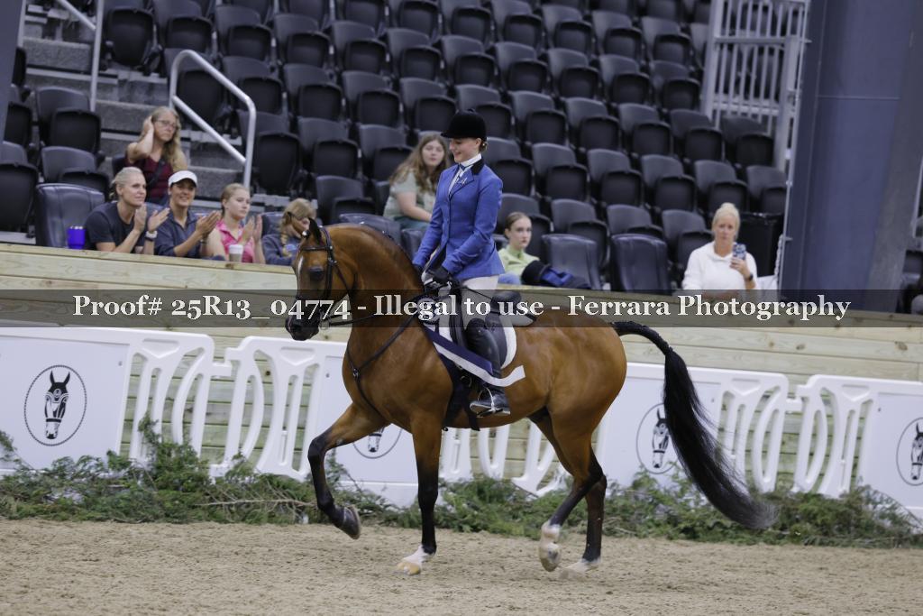Proof Number 25R13_04774