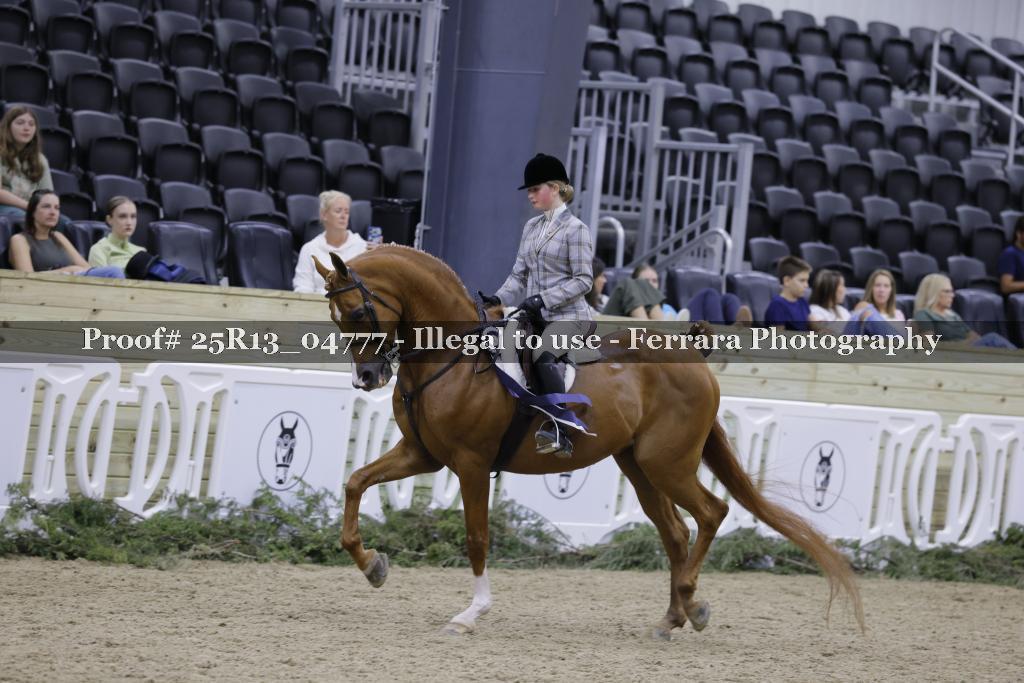 Proof Number 25R13_04777
