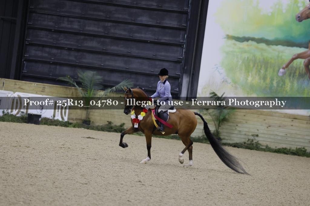 Proof Number 25R13_04780