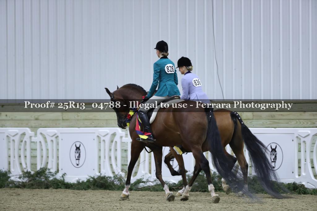 Proof Number 25R13_04788