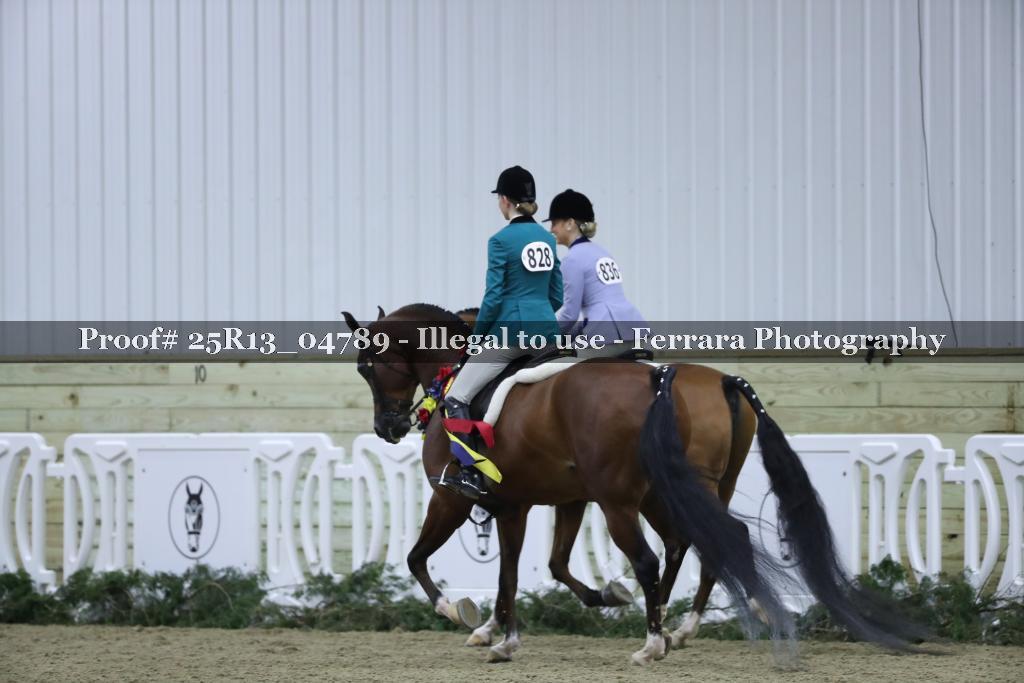 Proof Number 25R13_04789