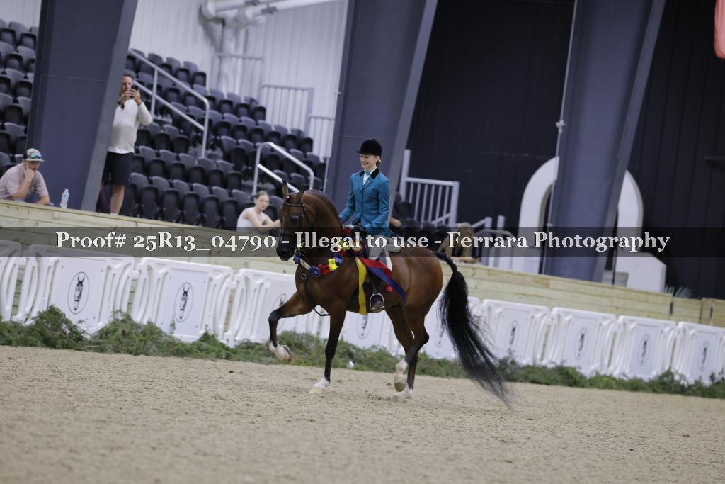 Proof Number 25R13_04790