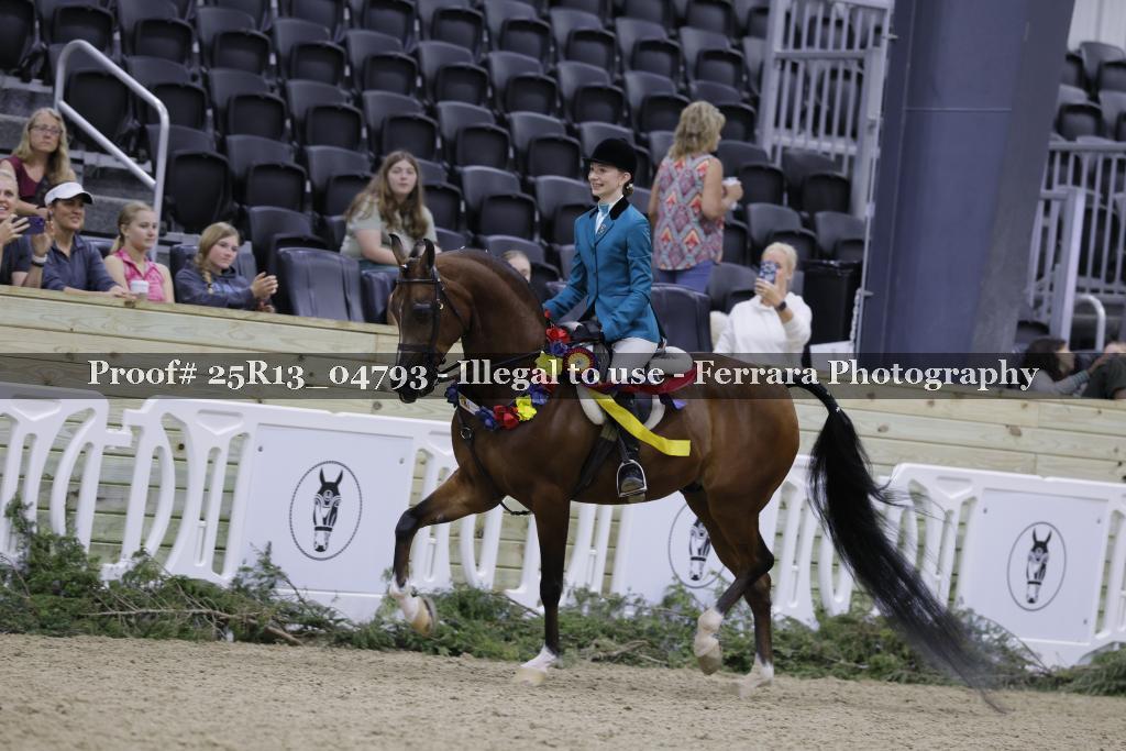 Proof Number 25R13_04793