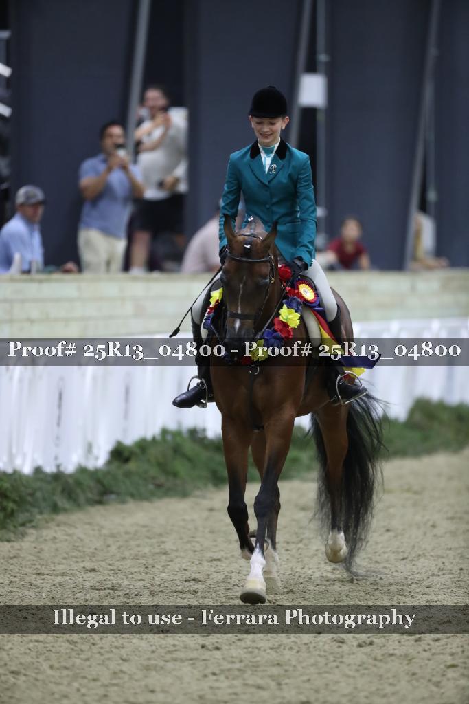 Proof Number 25R13_04800