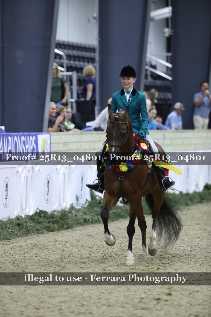 Proof Number 25R13_04801