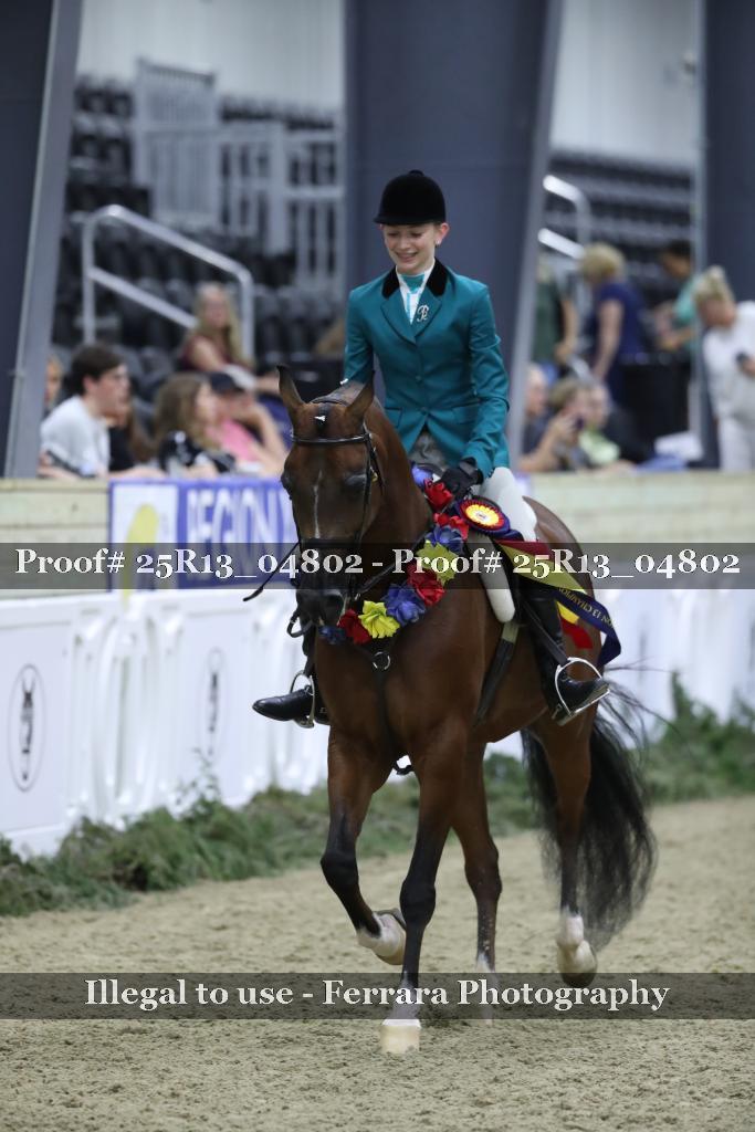 Proof Number 25R13_04802