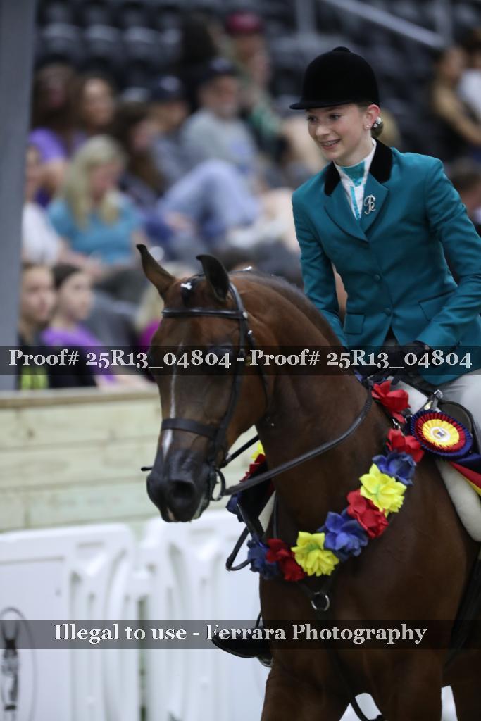 Proof Number 25R13_04804
