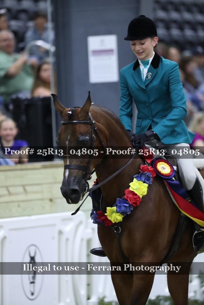 Proof Number 25R13_04805