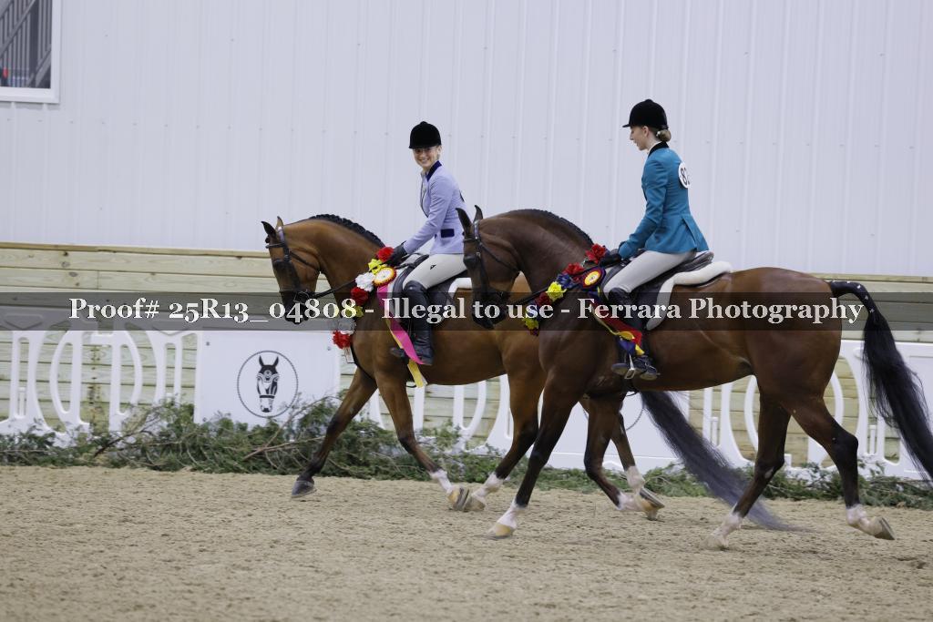 Proof Number 25R13_04808