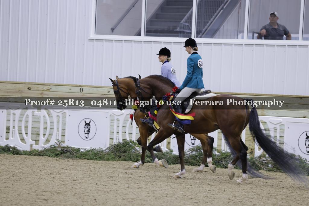 Proof Number 25R13_04811