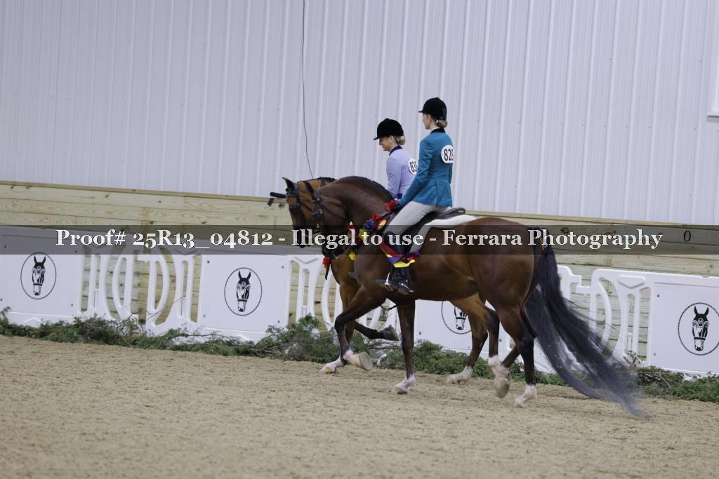 Proof Number 25R13_04812