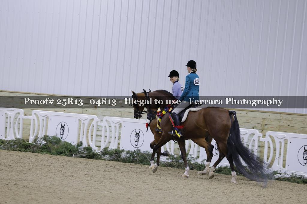 Proof Number 25R13_04813