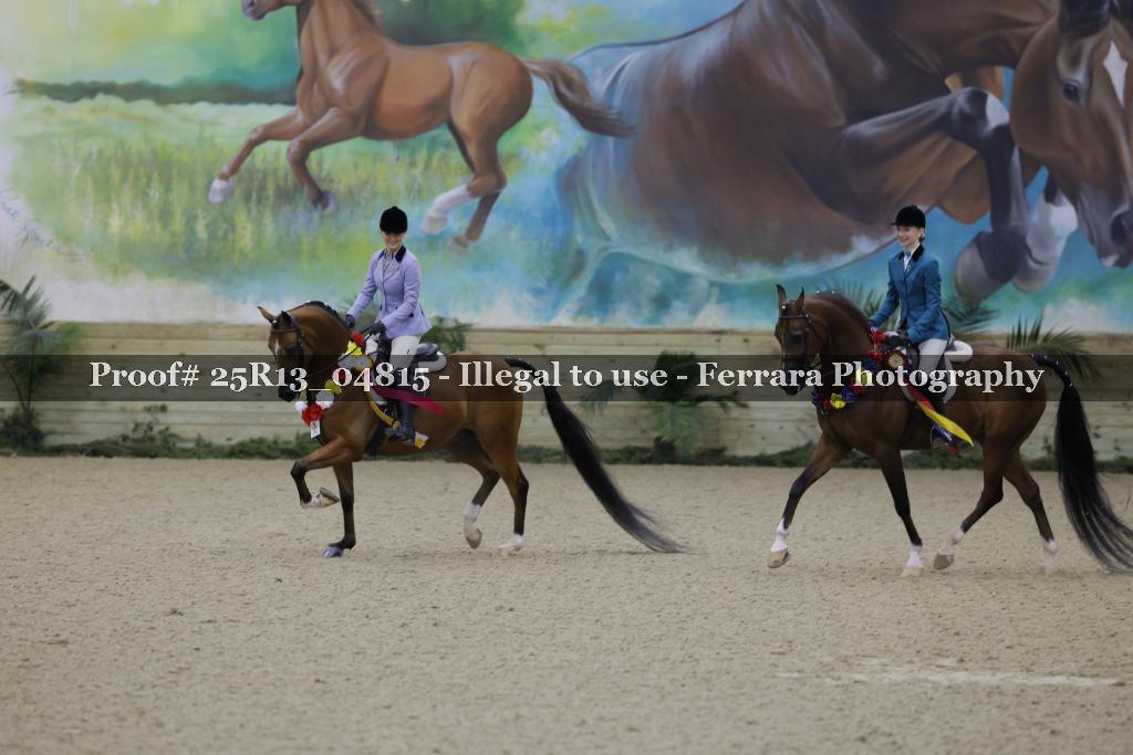 Proof Number 25R13_04815