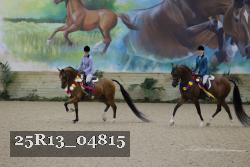 25R13_04815 thumbnail
