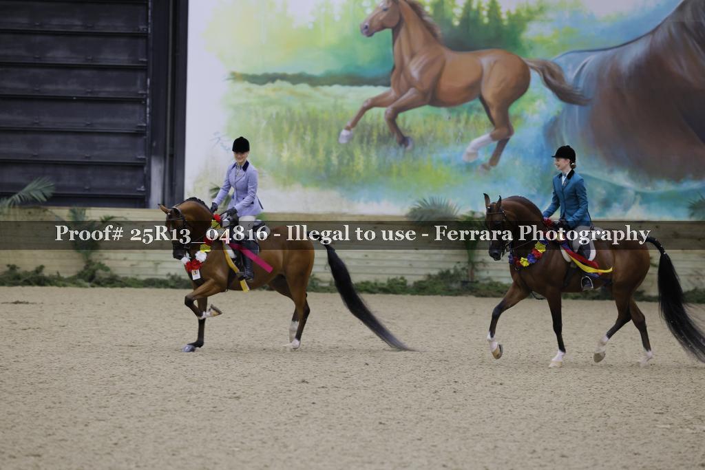 Proof Number 25R13_04816