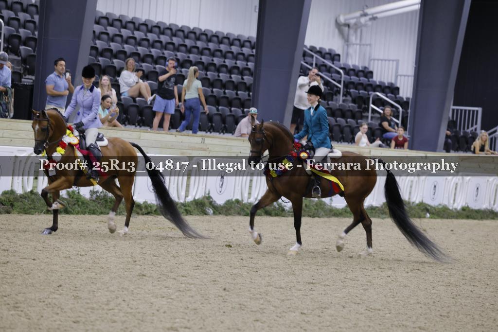 Proof Number 25R13_04817